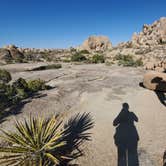 Review photo of Jumbo Rocks Campground — Joshua Tree National Park by Anna Z., January 29, 2022