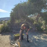 Review photo of Culp Valley Primitive Campground — Anza-Borrego Desert State Park by Anna Z., January 29, 2022
