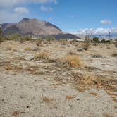 Review photo of Culp Valley Primitive Campground — Anza-Borrego Desert State Park by Anna Z., January 29, 2022