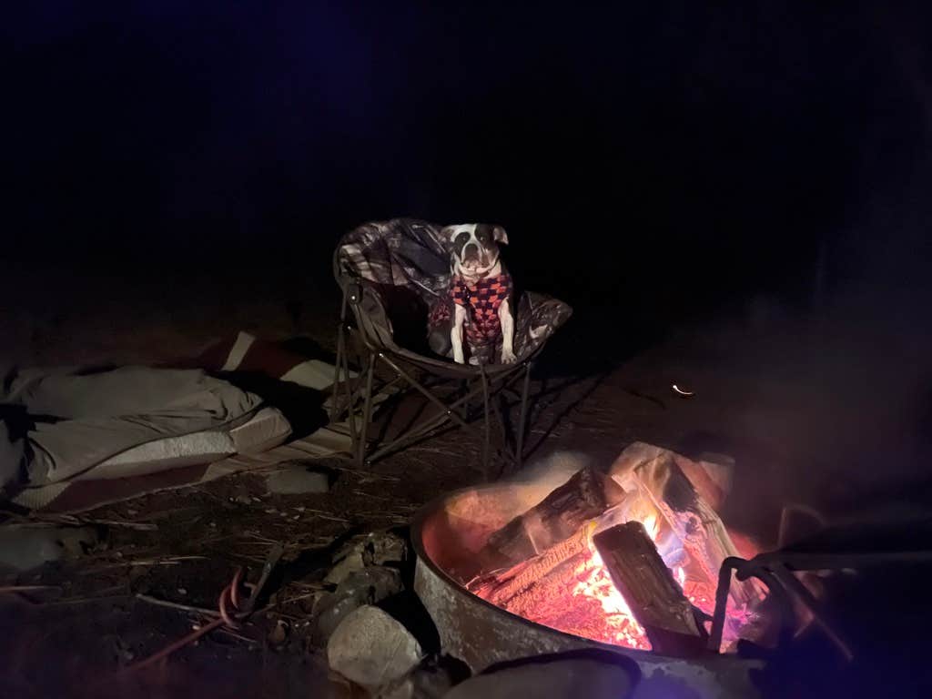 Camping near Pines Group Stanislaus: Lumsden Bridge Campground, Mather, California