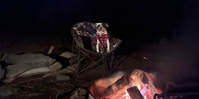 Camper submitted image from Lumsden Bridge Campground