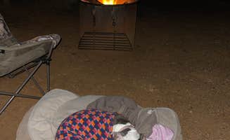 Rob R.'s photo of camping with pets at Live Oak Campground — Mount Diablo State Park Campground near Brisbane, CA