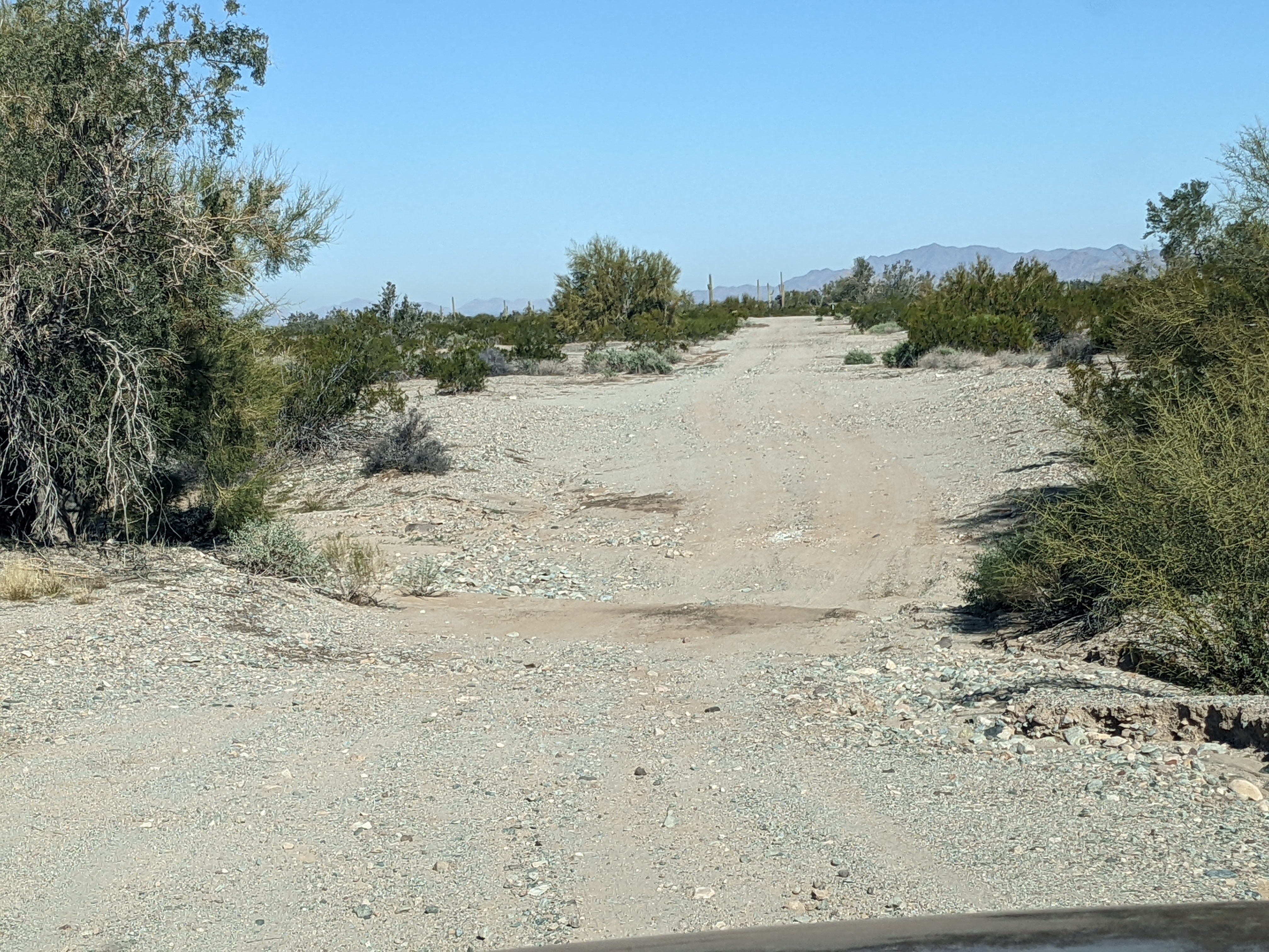 Camper submitted image from BLM Sonoran Desert National Monument - BLM road 8035 access - 3