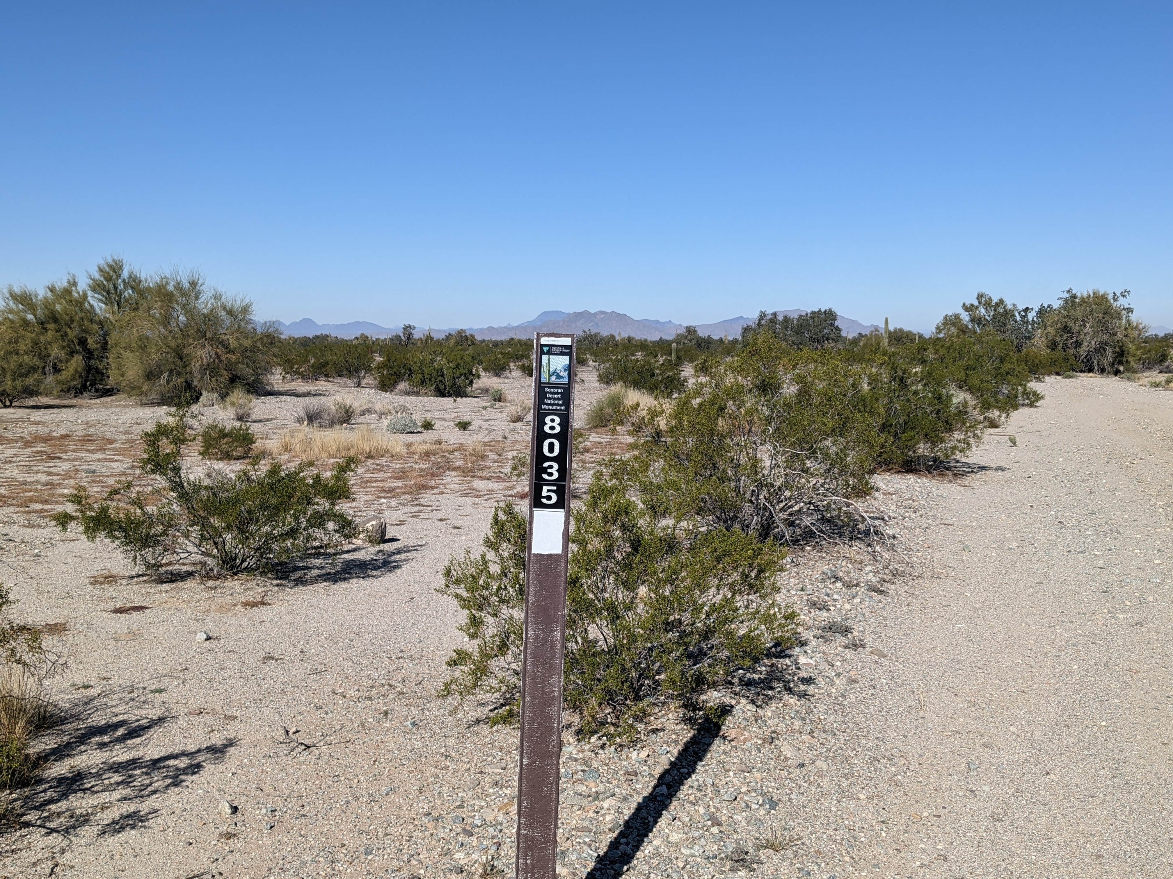 Camper submitted image from BLM Sonoran Desert National Monument - BLM road 8035 access - 2