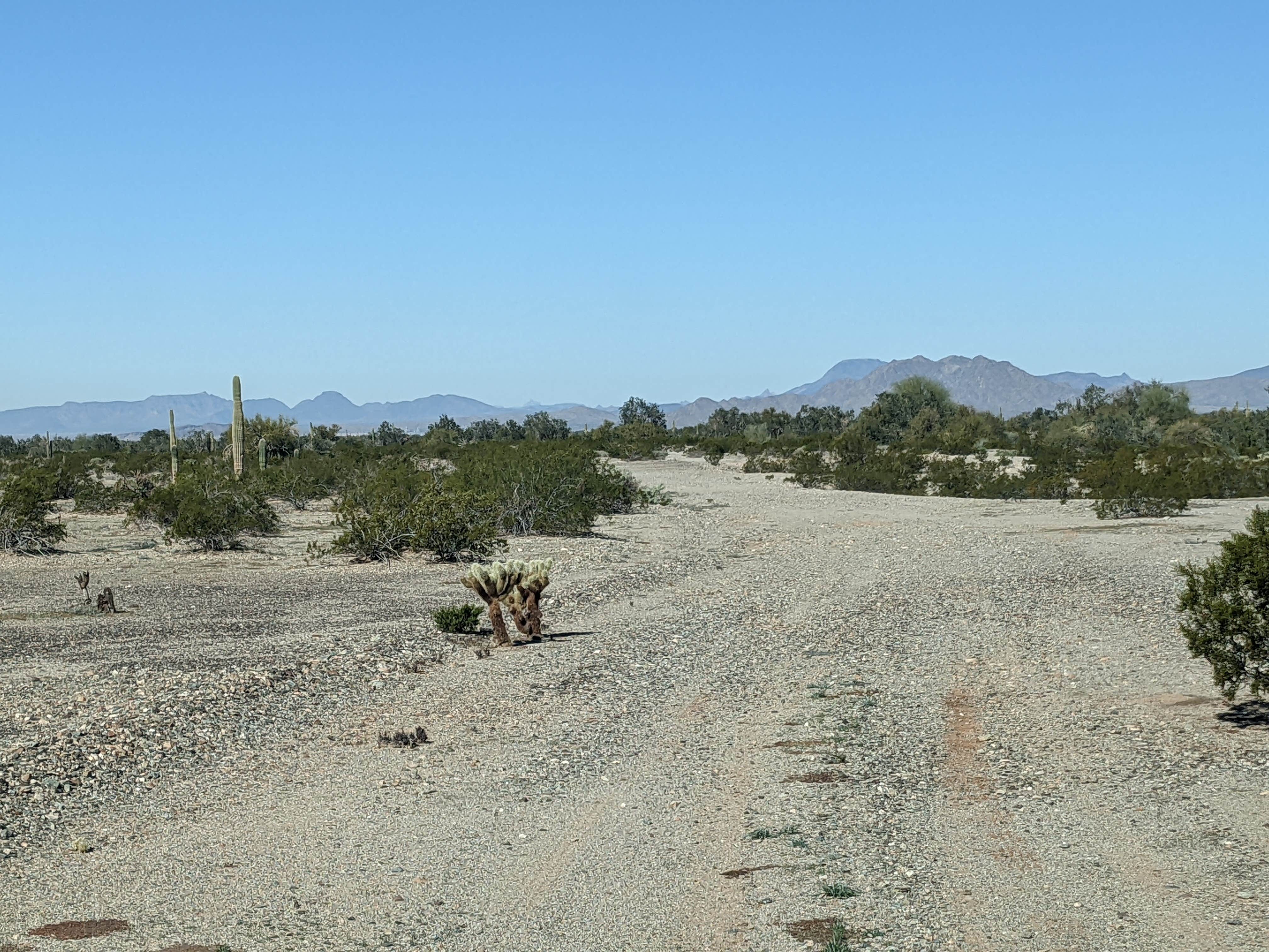 Camper-submitted photo at BLM Sonoran Desert National Monument - BLM road 8035 access near Gila Bend, AZ