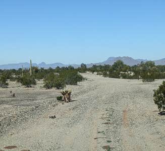 Camper-submitted photo from BLM Sonoran Desert National Monument - BLM road 8035 access