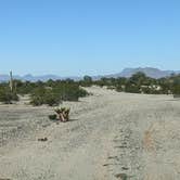 Review photo of BLM Sonoran Desert National Monument - BLM road 8035 access by Greg L., January 30, 2022