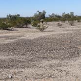 Review photo of BLM Sonoran Desert National Monument - BLM road 8035 access by Greg L., January 30, 2022