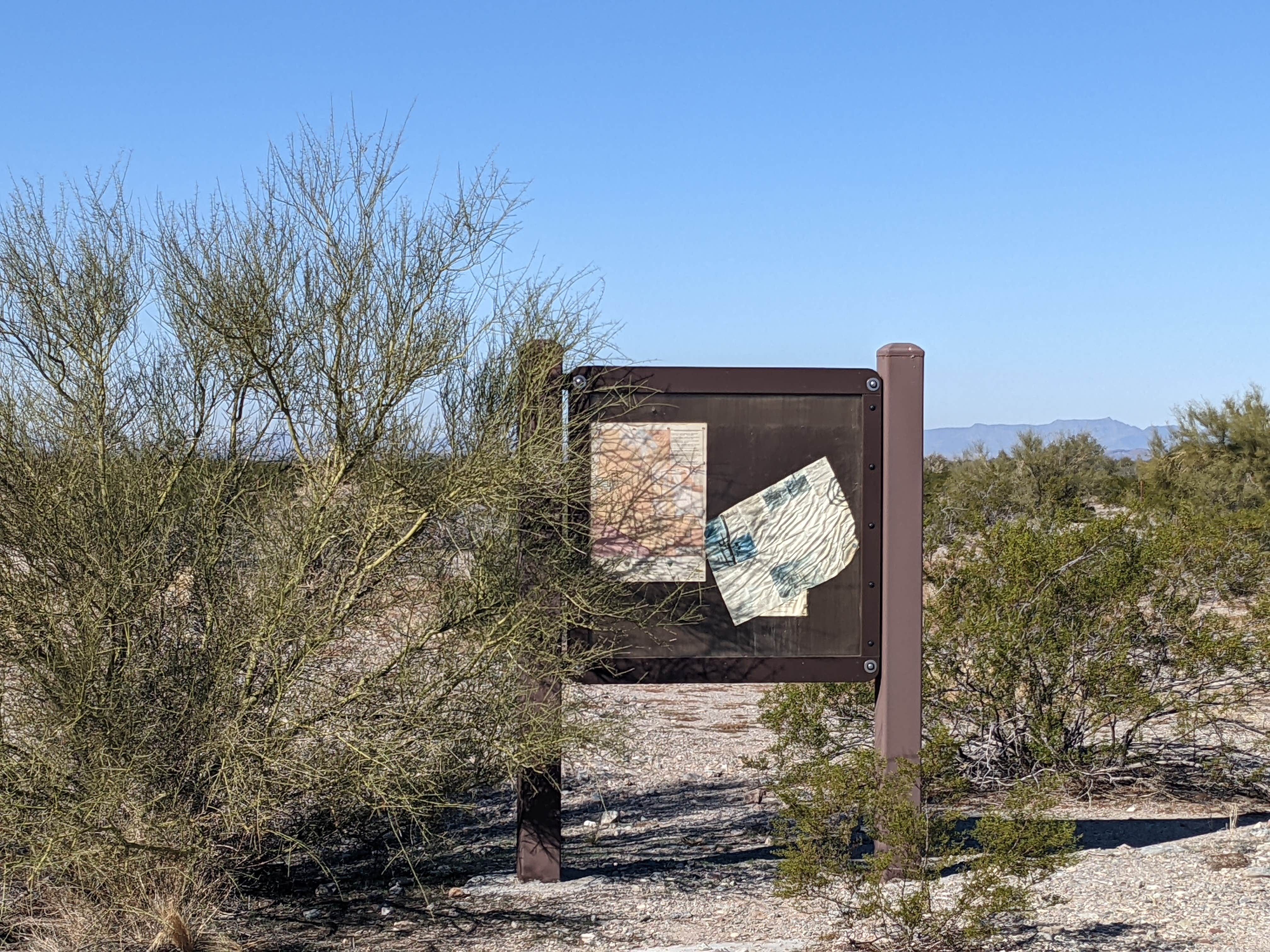 Camper-submitted photo at BLM Sonoran Desert National Monument - BLM road 8035 access near Gila Bend, AZ