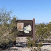 Review photo of BLM Sonoran Desert National Monument - BLM road 8035 access by Greg L., January 30, 2022