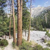 Review photo of San Gorgonio Summit Camp by Katarina A., July 9, 2018