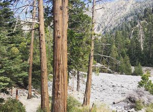 San Gorgonio Summit Camp