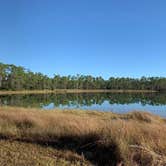 Review photo of Long Pine Key Campground — Everglades National Park by Erika R., January 30, 2022