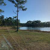 Review photo of Long Pine Key Campground — Everglades National Park by Erika R., January 30, 2022