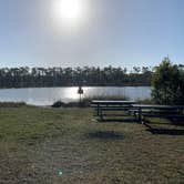 Review photo of Long Pine Key Campground — Everglades National Park by Erika R., January 30, 2022