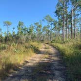 Review photo of Long Pine Key Campground — Everglades National Park by Erika R., January 30, 2022