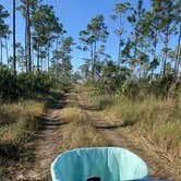 Review photo of Long Pine Key Campground — Everglades National Park by Erika R., January 30, 2022