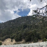 Review photo of San Gorgonio Summit Camp  by Katarina A., July 9, 2018