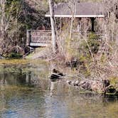 Review photo of Magnolia Springs State Park by Thomas , January 30, 2022