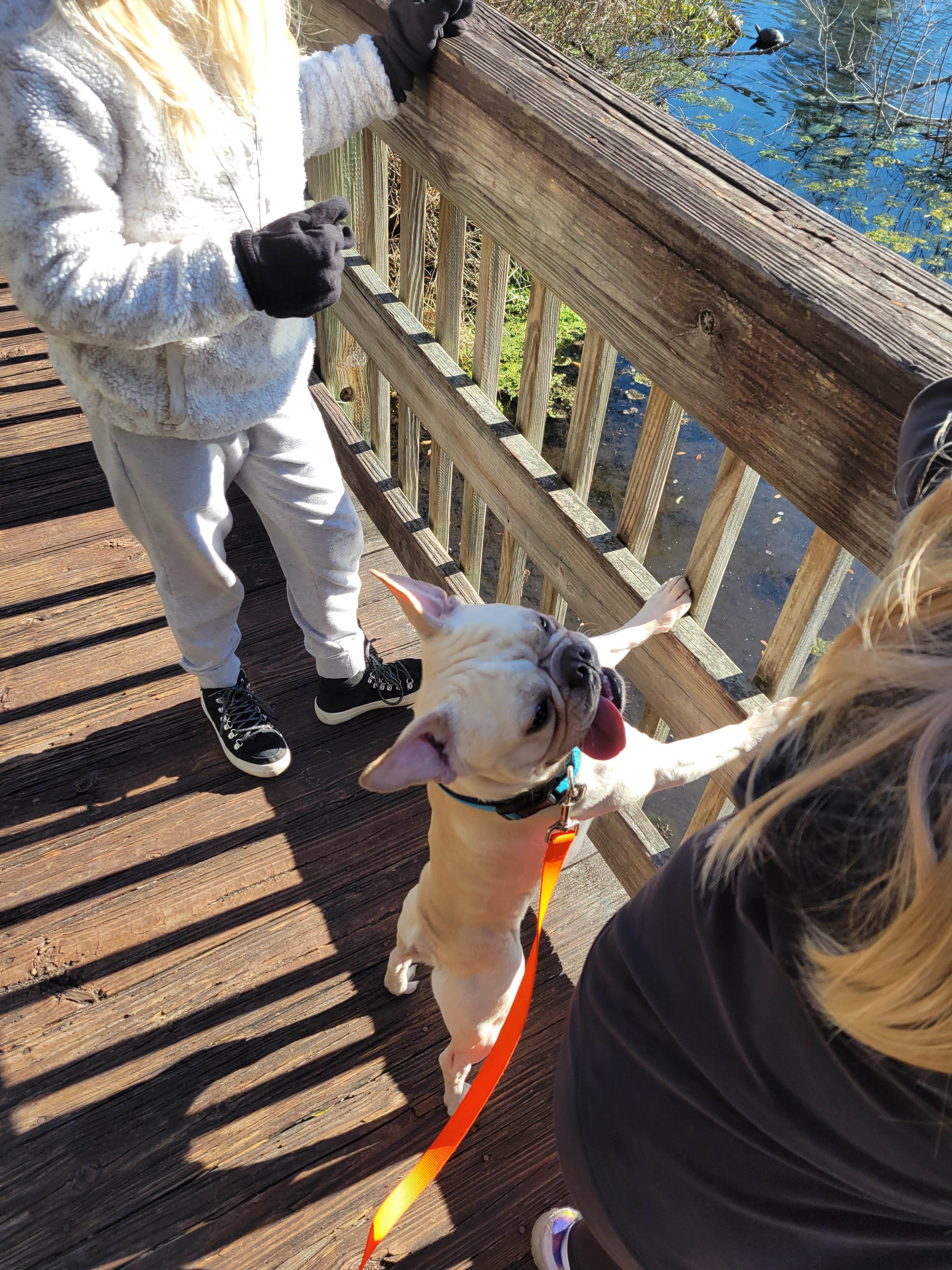 Thomas's photo of camping with pets at Magnolia Springs State Park Campground near Statesboro, GA