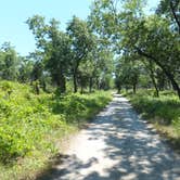 Review photo of Illinois Beach State Park by Maaya Y., January 30, 2022