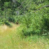 Review photo of Illinois Beach State Park by Maaya Y., January 30, 2022