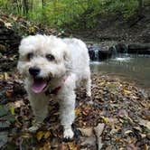 Review photo of Starved Rock Campground — Starved Rock State Park by Maaya Y., January 30, 2022