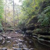 Review photo of Starved Rock Campground — Starved Rock State Park by Maaya Y., January 30, 2022