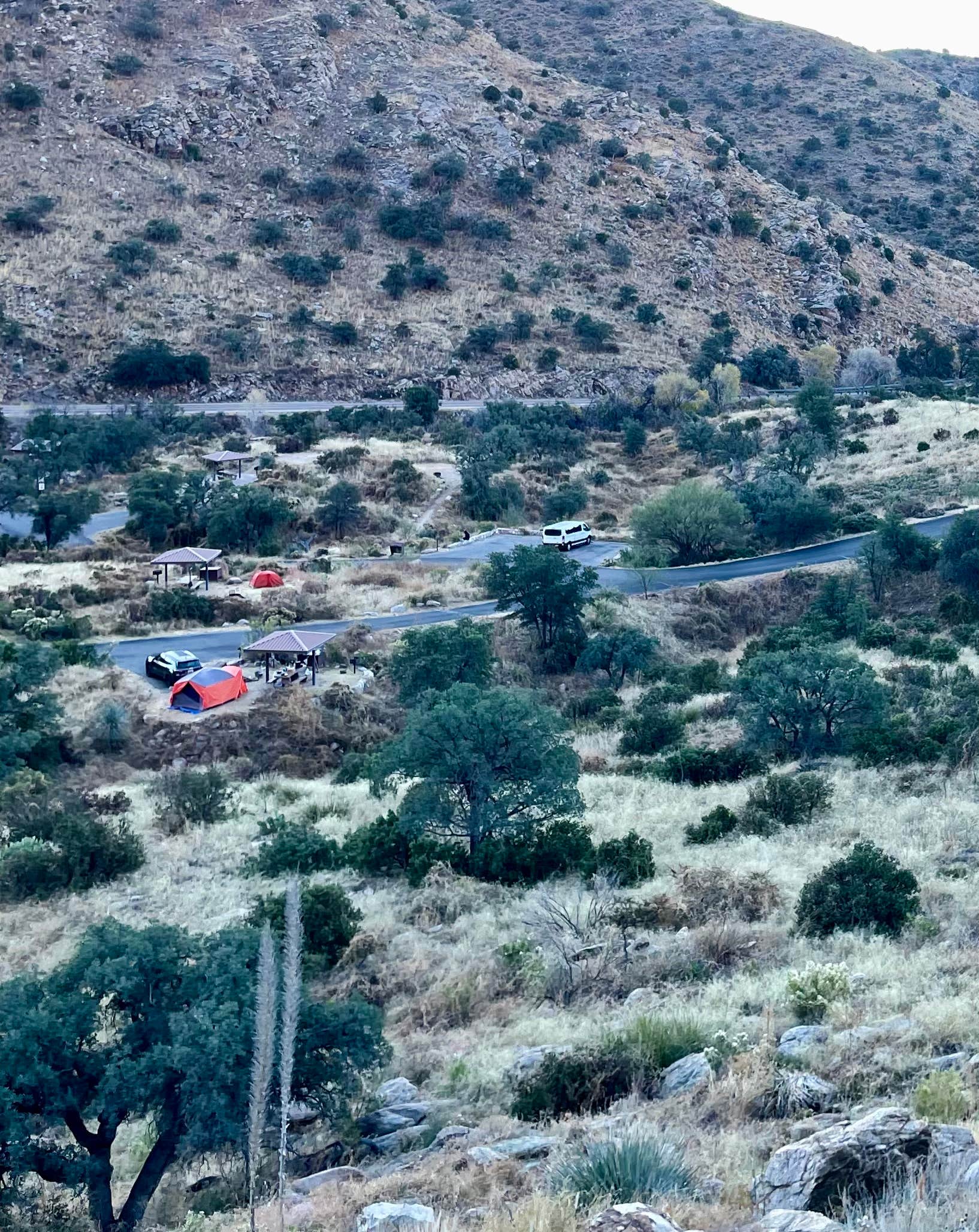 Camper submitted image from Coronado National Forest Molino Basin Campground - 1