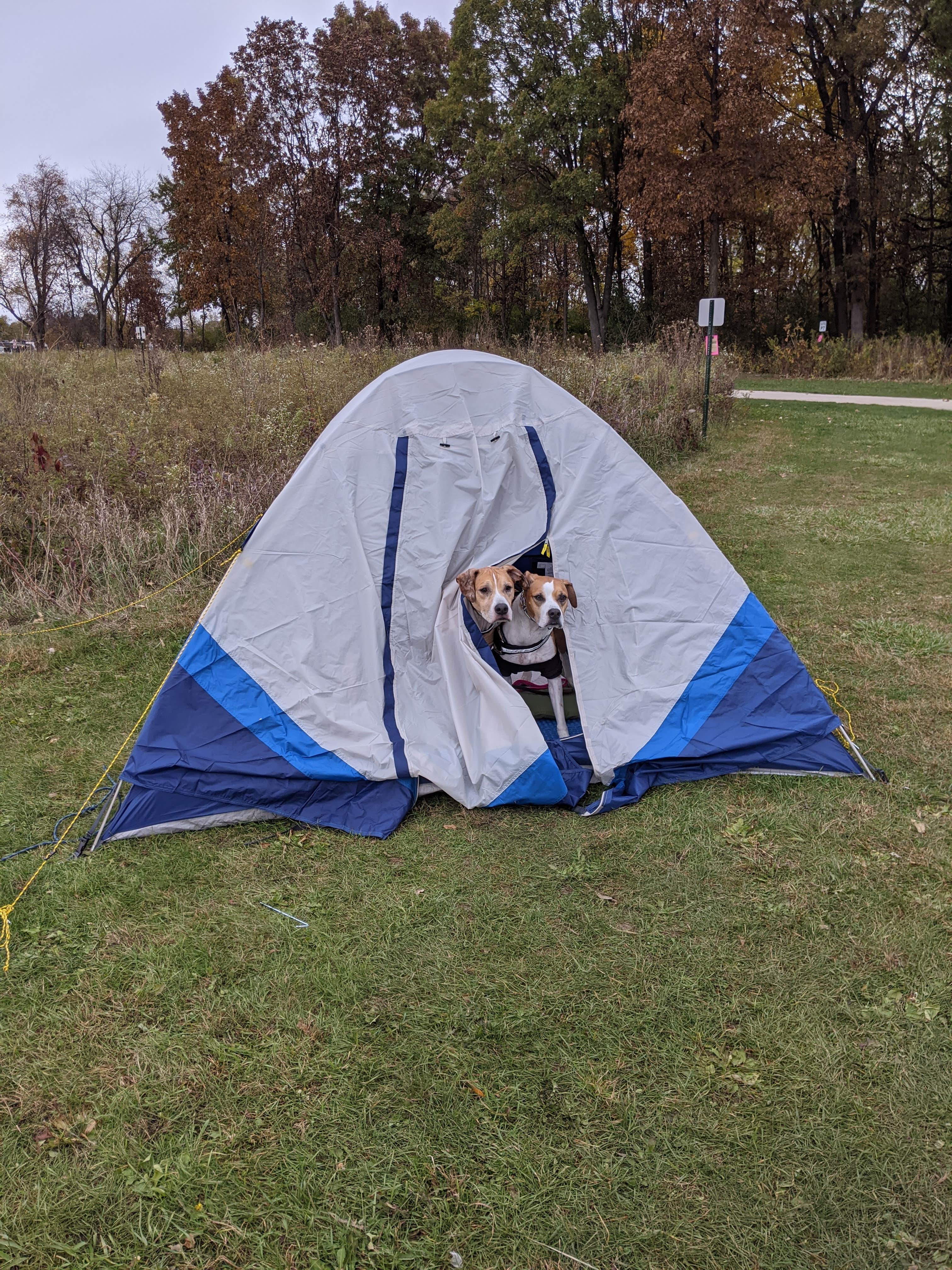 Maaya Y.'s photo of camping with pets at Paul Wolff Campground near Chicago, IL