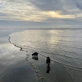 Review photo of Ocean City State Park by L & J L., January 30, 2022