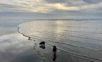 L & J L.'s photo of camping with pets at Ocean City State Park Campground near Ocean Shores, WA