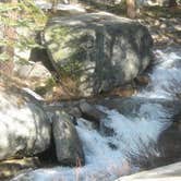 Review photo of Crane Flat Campground — Yosemite National Park by Name , January 30, 2022