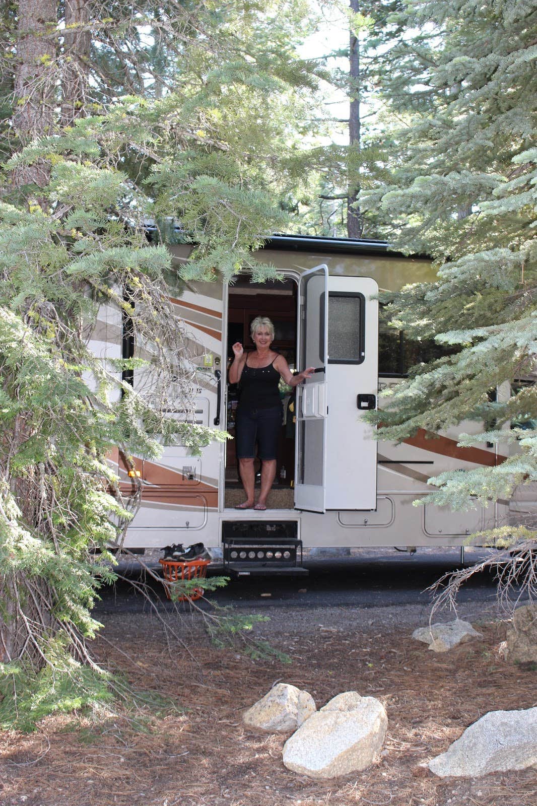 Camper submitted image from General Creek Campground — Sugar Pine Point State Park - 2