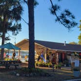 Review photo of Tomoka State Park Campground by janet H., January 30, 2022