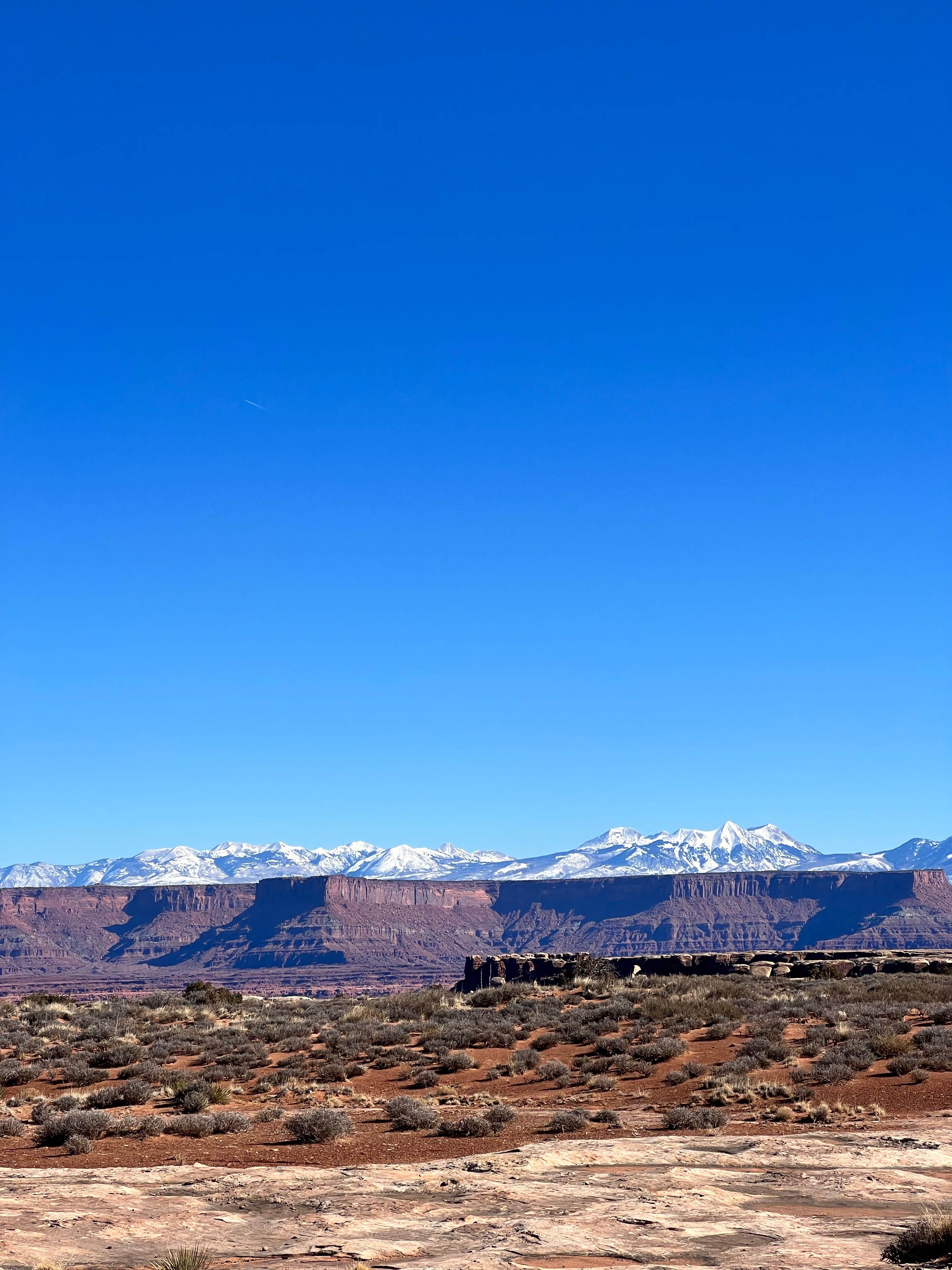 Camper submitted image from Airport B: Backcountry Campsite - 1