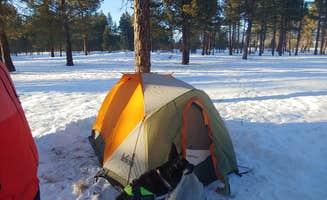 Courtney K.'s photo at Southwest Shore Campground near Sumpter, OR