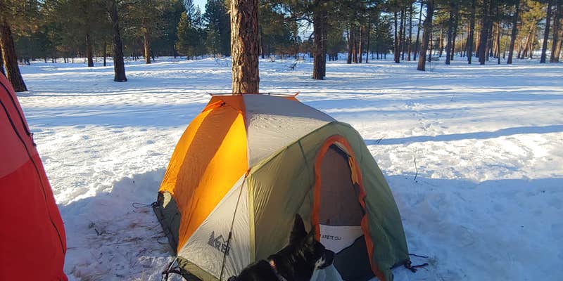 Camper submitted image from Southwest Shore Campground