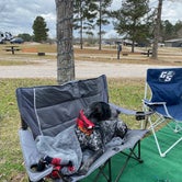 Review photo of Pine Mountain RV Resort by Caitlin S., January 31, 2022