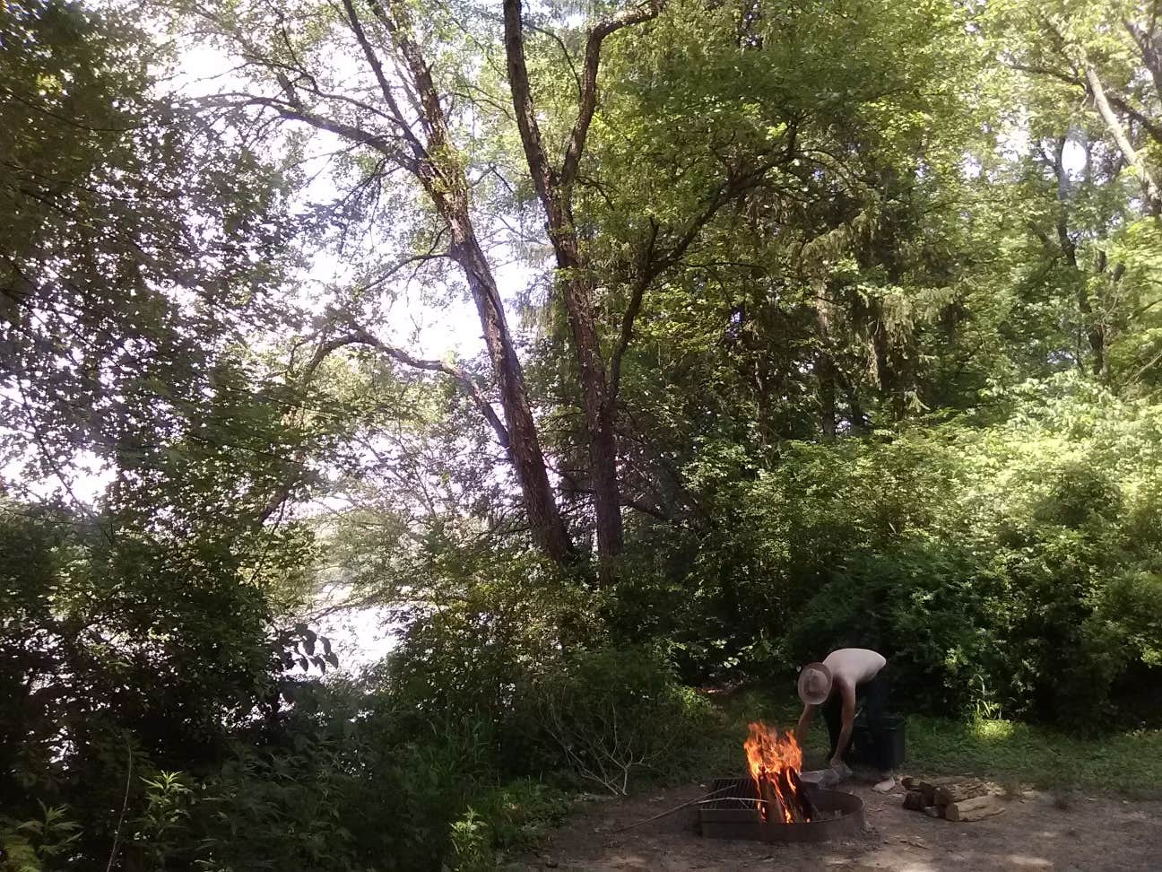 Matt H.'s photo at Worthington State Forest Campground — Delaware Water Gap National Recreation Area near Henryville, PA