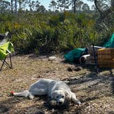 Review photo of Highlands Hammock State Park by Kristina B., January 31, 2022