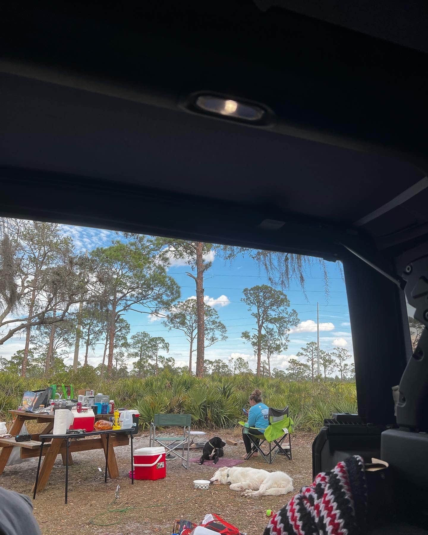 Kristina B.'s photo of tent camping at Highlands Hammock State Park Campground near Mulberry, FL