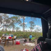 Review photo of Highlands Hammock State Park by Kristina B., January 31, 2022