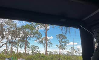 Kristina B.'s photo of tent camping at Highlands Hammock State Park Campground near Arcadia, FL