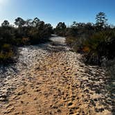 Review photo of Highlands Hammock State Park by Kristina B., January 31, 2022