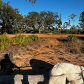 Review photo of Highlands Hammock State Park by Kristina B., January 31, 2022