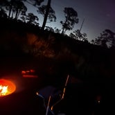 Review photo of Highlands Hammock State Park Campground by Kristina B., January 31, 2022