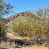 Review photo of West Pinal County Park by Mary H., January 31, 2022