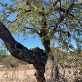 Review photo of  West Pinal County Park by Mary H., January 31, 2022