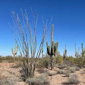 Review photo of West Pinal County Park by Mary H., January 31, 2022